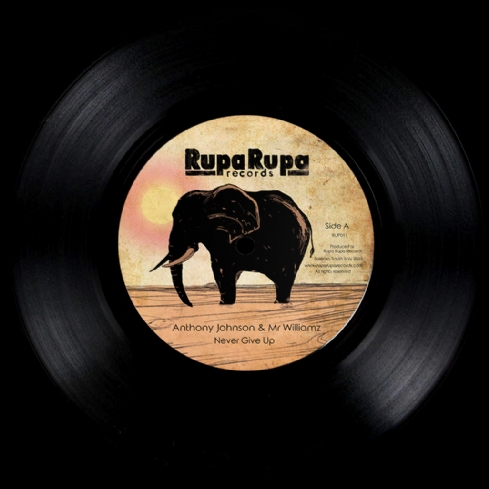 Never Give Up / Reggae Story